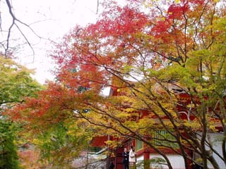 談山神社紅葉