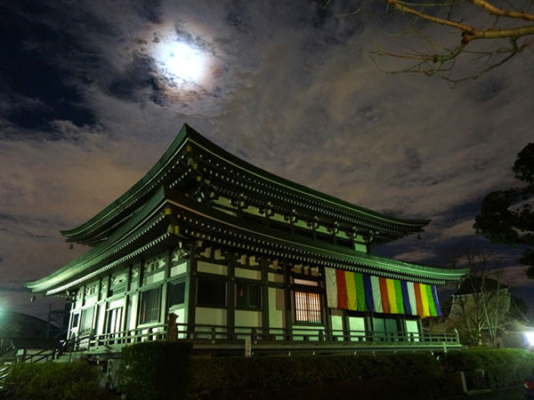 夜の圓融寺