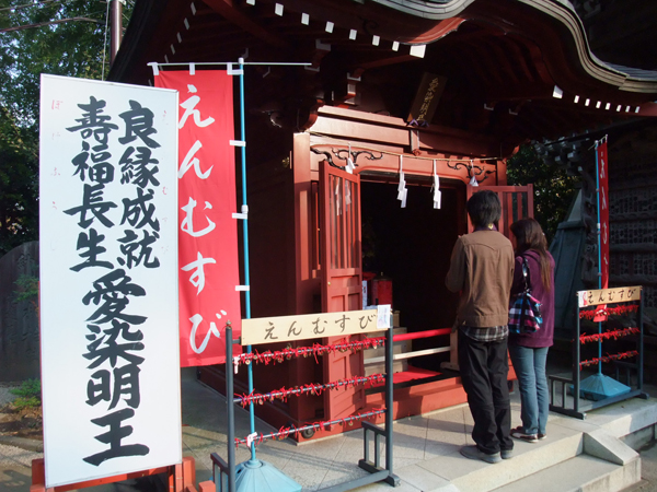 趣味の出会い