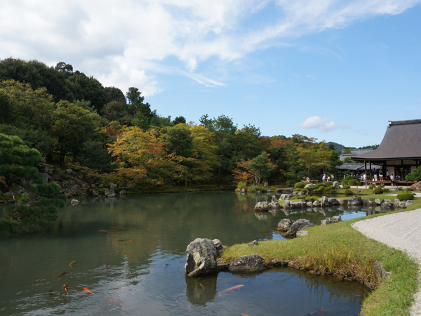 天龍寺の庭園