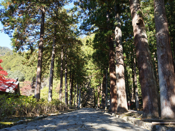 身延山久遠寺の参道
