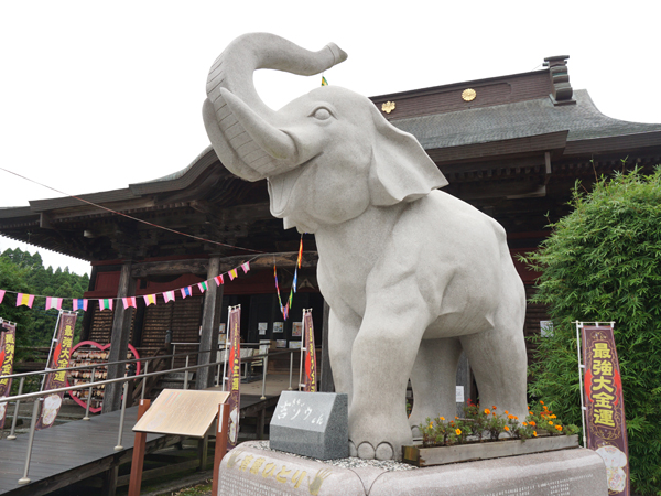 長福寿寺の吉ゾウくん