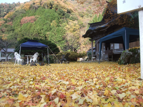 自然の中のお寺
