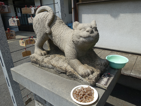正傳寺の狛寅