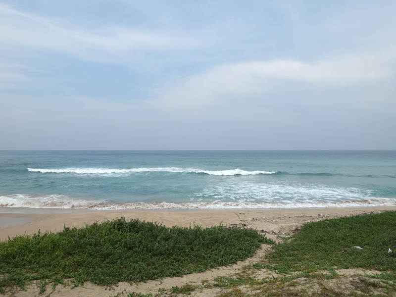 向津具半島の海
