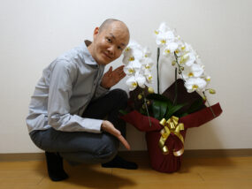 胡蝶蘭とほーりー